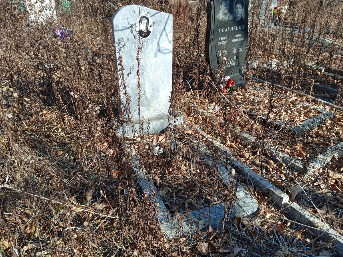 Леонтьева Дарья Егоровна