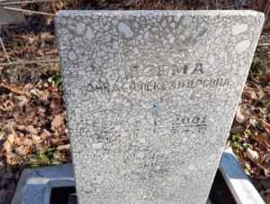 Дзема Анна Александровна