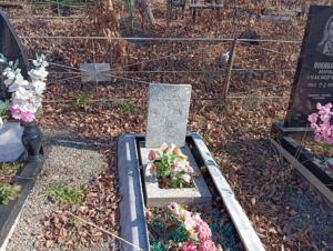 Дзема Анна Александровна