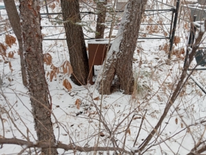 Неизвестно Неизвестно Неизвестно