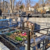 Шаповалов Андрей Поликарпович