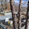 Кривошеев Сергей Николаевич