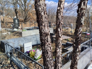 6b707266-9e82-4397-80b0-3fc217ce88db Кривошеев Сергей Николаевич