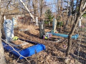 6b733162-3940-4987-aa0f-fdd5b137fd2d Бычков Николай Ильич