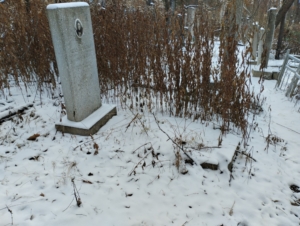 Шаповалова Екатерина Илларионовна