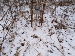 Колядин Владимир Яковлевич