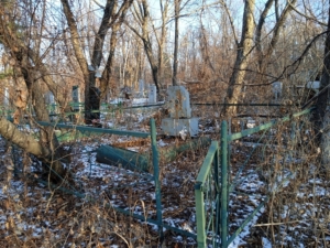 Колесниченко Ирина Ивановна