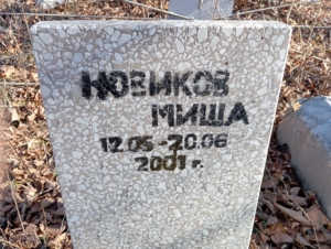 Новиков Миша Неизвестно