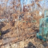 Богданова Анастасия Павловна