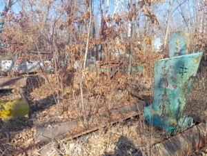 6c62b8d2-6bfa-42b8-b398-3712751fe84a Богданова Анастасия Павловна