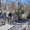 Чеченева Людмила Владимировна