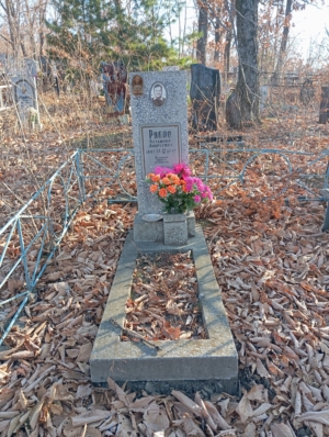 6ccece4d-ec77-46c3-96c7-71887bb3c708 Рябов Владимир Андреевич