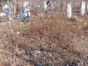6d371c17-0c09-4e14-b7a4-18a8e5300f35 Неизвестно Неизвестно Неизвестно