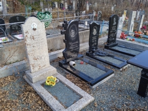 6d7308ad-17e2-40b7-85ce-6587e3a3906c Серегин Виктор Николаевич