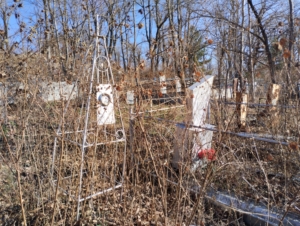 6d9792e0-ad35-4a1e-800e-ea9b0361e081 Кротова Ирина Борисовна