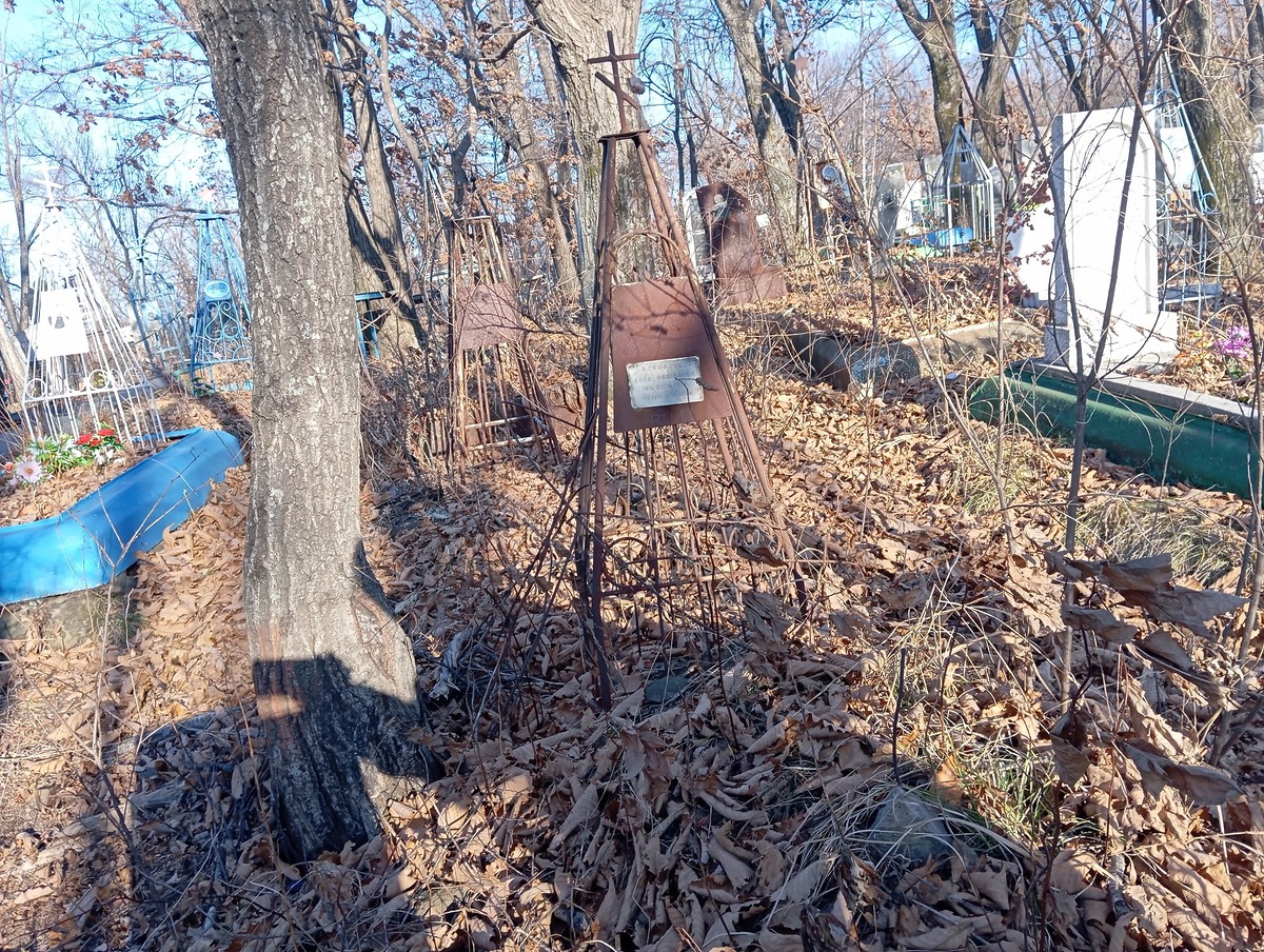 Кривошеева Анна Михайловна