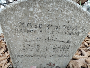 Хлебникова Лариса Владимировна