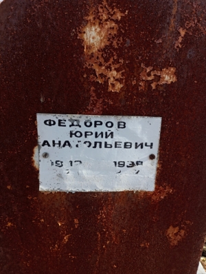 6e4bf004-06cf-474e-b243-7f2a6091eedb Федоров Юрий Анатольевич