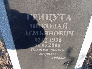 Грицута Николай Демьянович