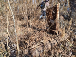 Печонкин Виктор Сергеевич