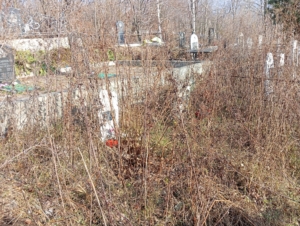 Петрик Ольга Александровна