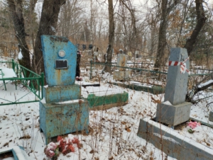 6fa6ef22-6f03-45ad-a257-0f96fb2d36a6 Давыдов Владимир Александрович