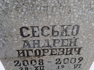 Сесько Андрей Игоревич