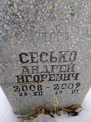 6fc14f7d-ea54-4e42-a531-7c5d507b5c4d Сесько Андрей Игоревич