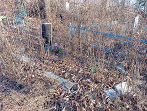 706412cb-1618-4511-8501-0e72f4d95df7 Дронов Николай Васильевич