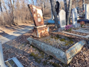 70e0f323-5cc4-4a7b-9dd1-c4ad51c8a98c Аникин Виктор Тихонович