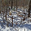 Маскалюк Варвара Константиновна