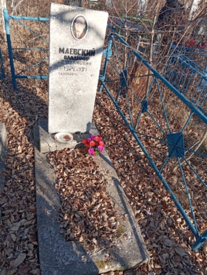 71276289-f291-43ff-976a-5386c56e4029 Маевский Владимир Степанович