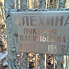 Алехина Лукерья Васильена