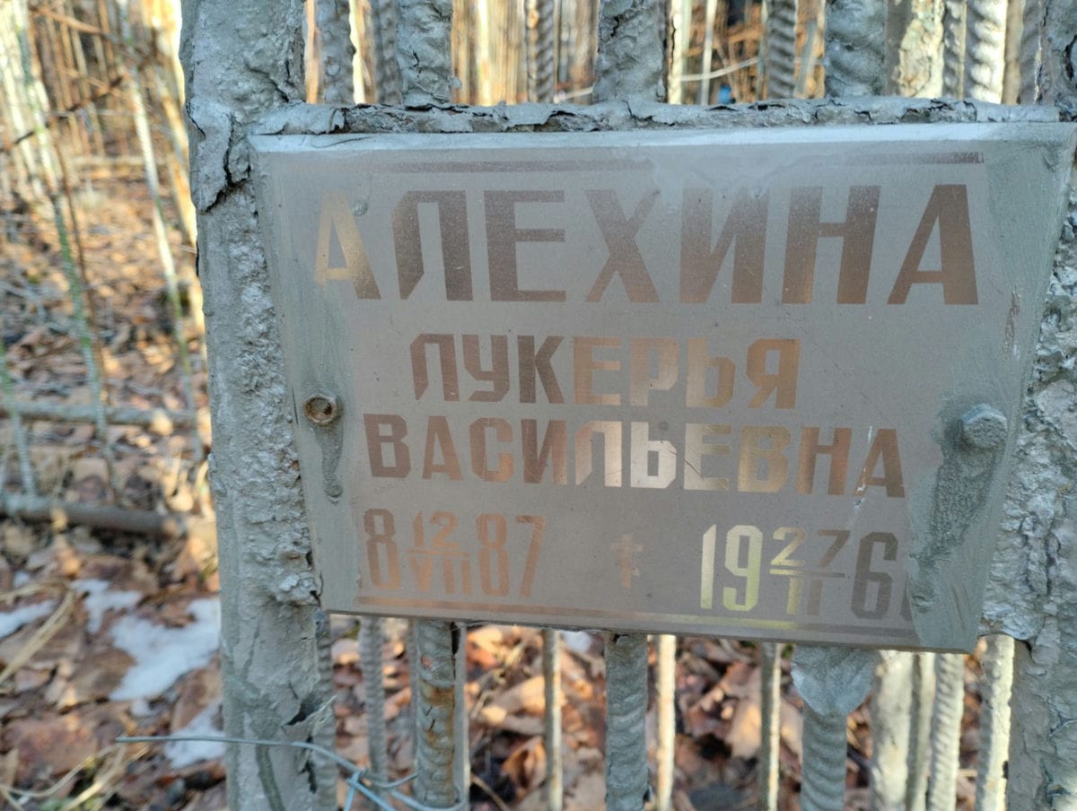 712f0722-3705-4c4d-ab93-8da04b240b7d Алехина Лукерья Васильена