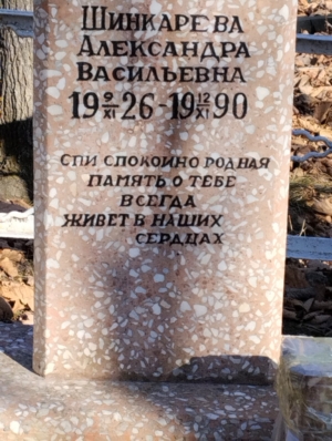 714372b0-2b85-4cf8-90b7-f7d242f4dd82 Шинкарева Александра Васильевна