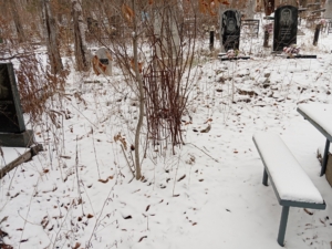 Неизвестно Неизвестно Неизвестно