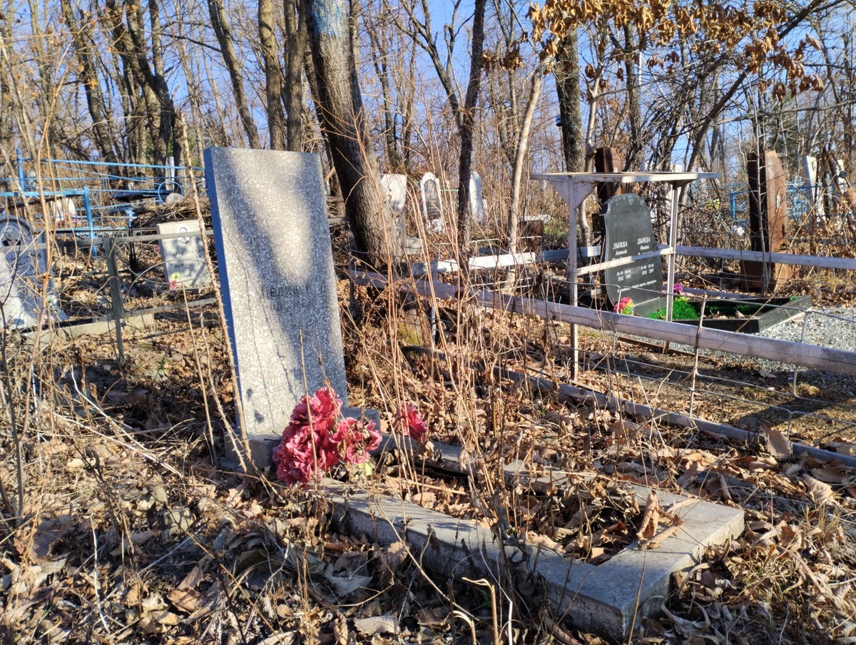 71ad8793-5406-4a57-92b8-9306edab84e2 Цединева Надежда Неизвестно