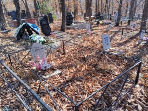 Чайковская Галина Ларионовна