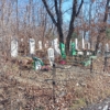 Дмитриев Николай Нестерович