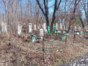 72146929-e056-40e7-98cd-1d4ea74f4e57 Дмитриев Николай Нестерович
