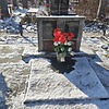 Левша Александр Васильевич