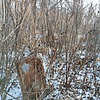 Неизвестно Неизвестно Неизвестно