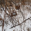 Ежов Василий Иванович