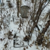 Неизвестно Евгений Михайлович