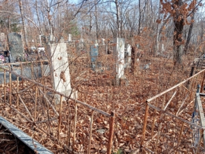 7436921e-d022-4490-862f-0085b126ce32 Ивлев Иван Иванович