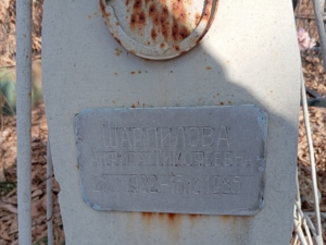 7464f567-8b07-43e3-a662-1989371be2ad Шарпилова Анфиса Тимофеевна