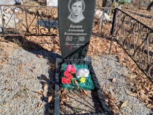 Багаев Александр Владимирович