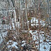Брудеров Михаил Маркович