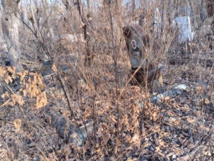 Сокольников Иван Васильевич