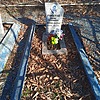 Романов Борис Иванович